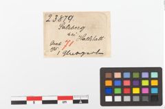 Etiketten zu Glasringperle (NHMW-PRAE-023879)